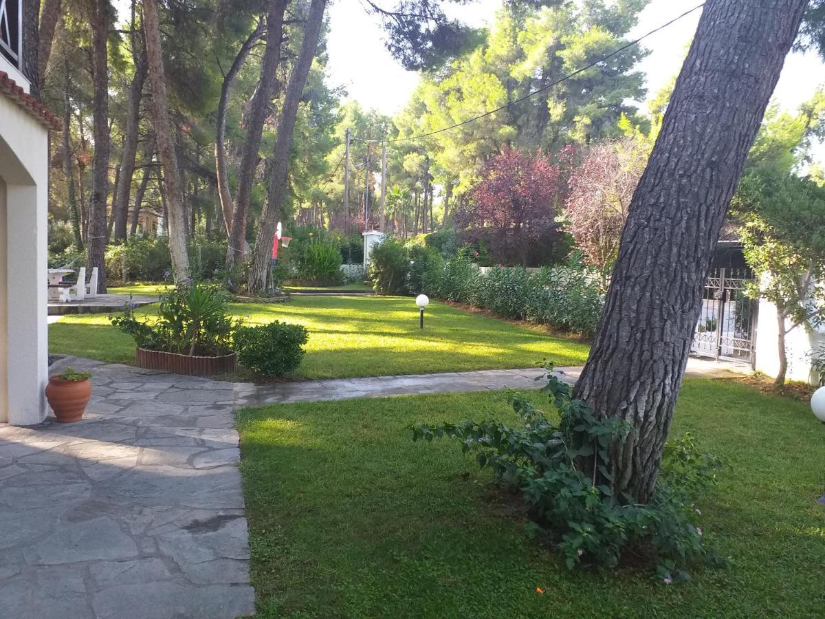 Sani Villa Of Traditional Architecture Dış mekan fotoğraf